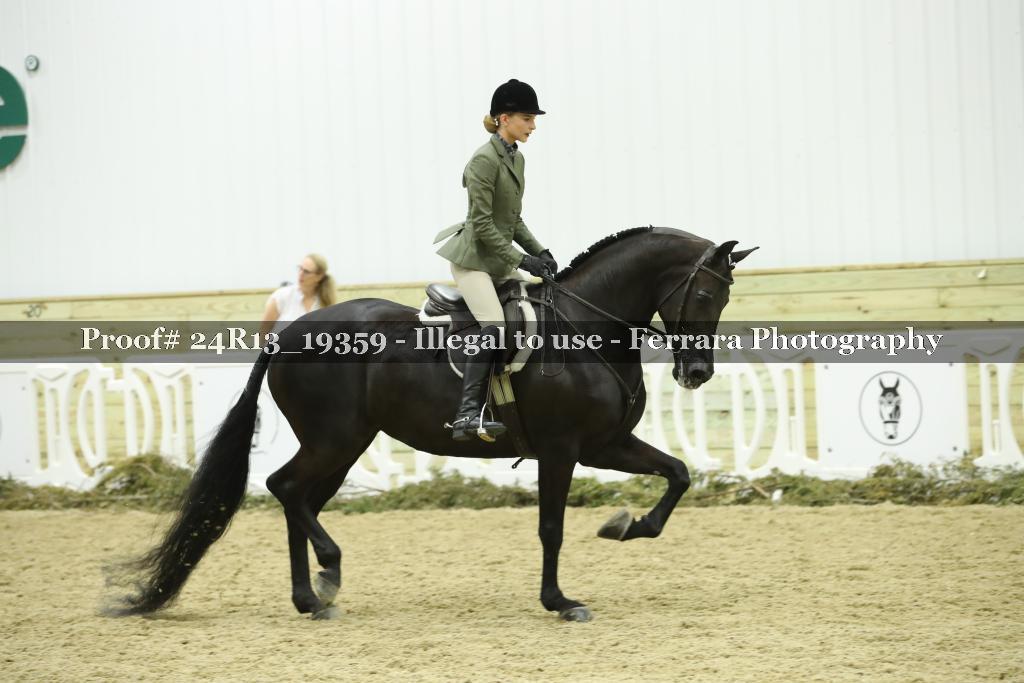 Proof 24R13_19359