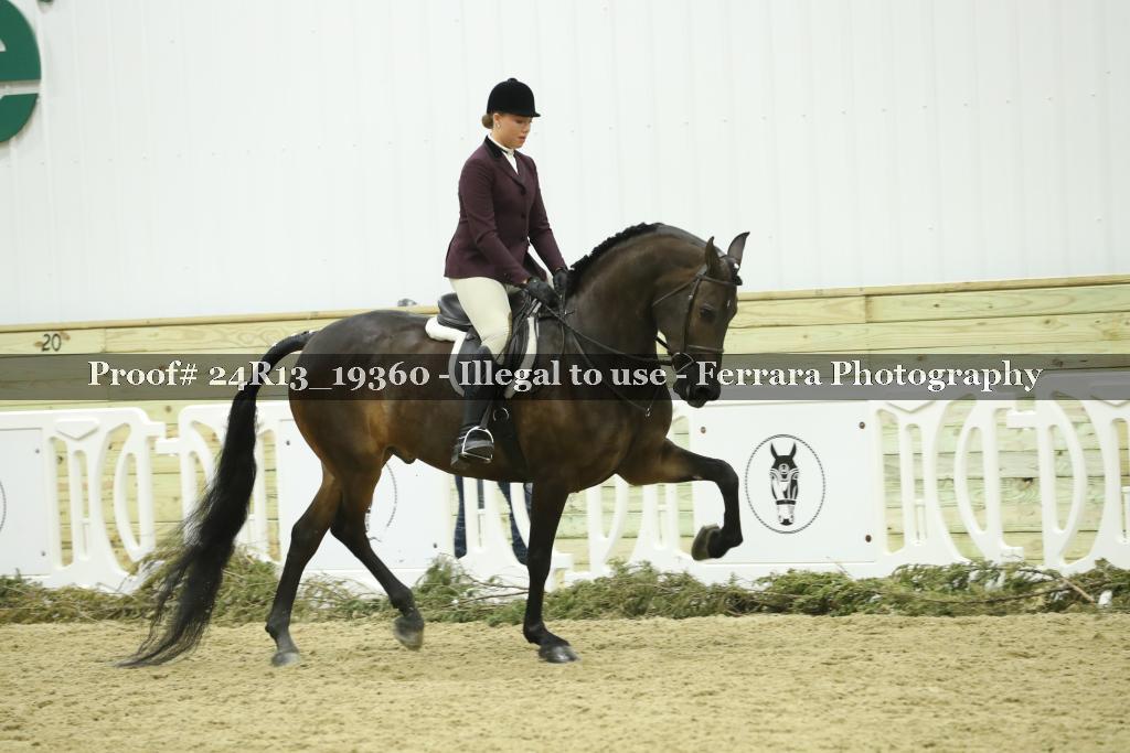 Proof 24R13_19360