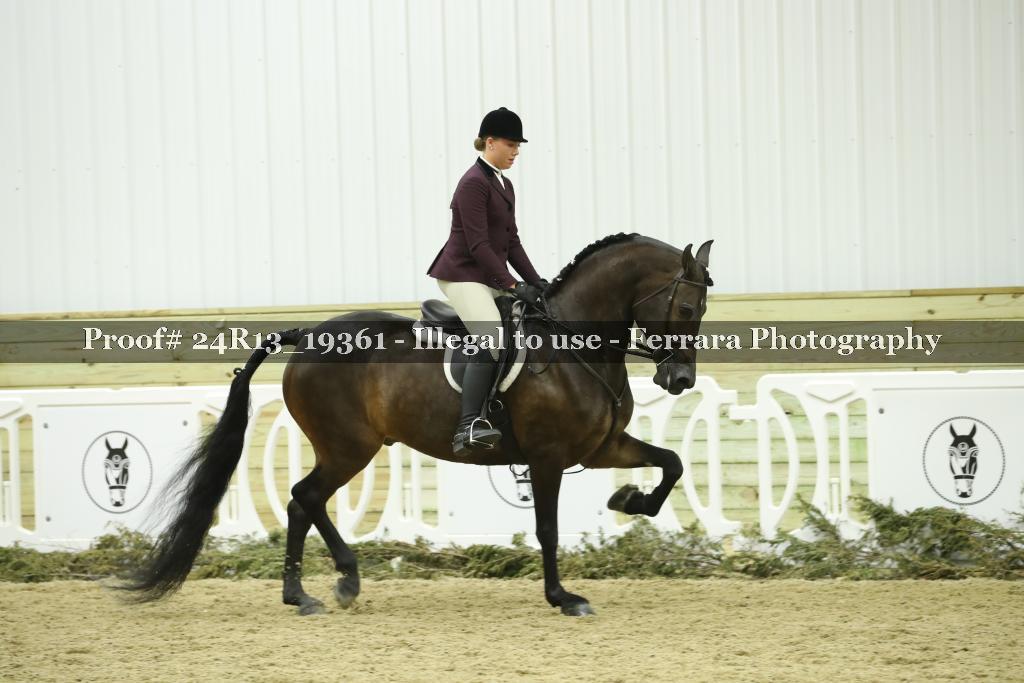 Proof 24R13_19361