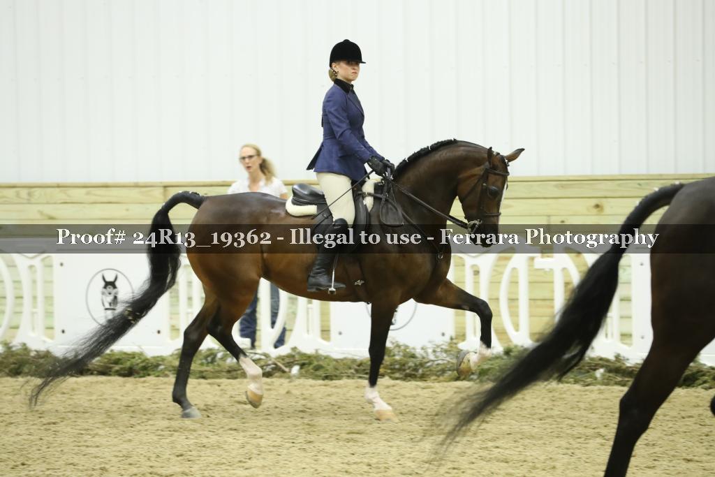 Proof 24R13_19362
