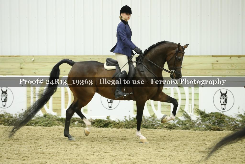 Proof 24R13_19363