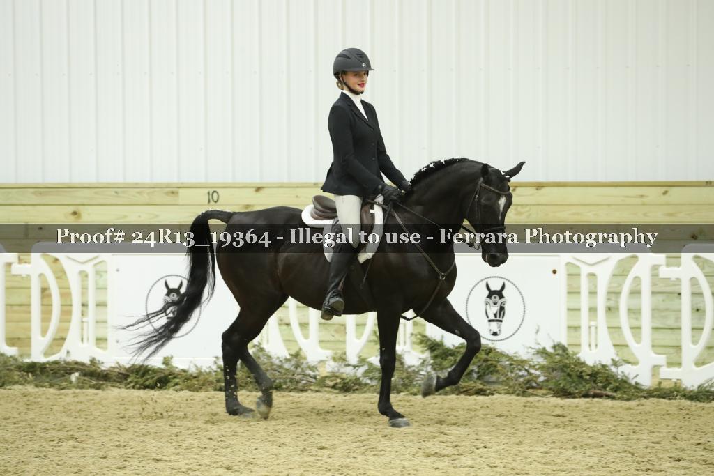 Proof 24R13_19364