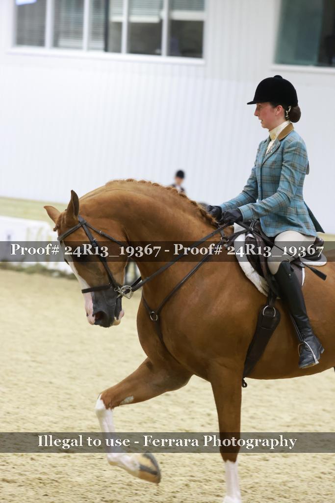 Proof 24R13_19367