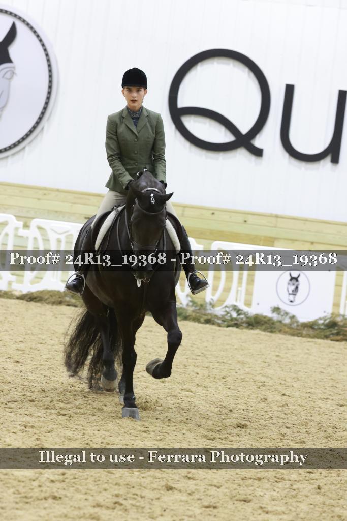 Proof 24R13_19368