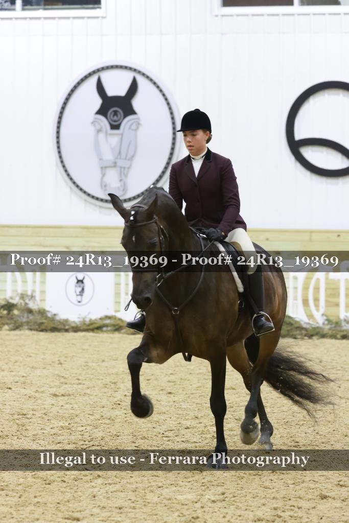 Proof 24R13_19369