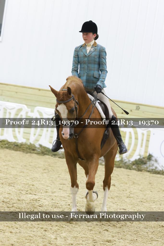 Proof 24R13_19370