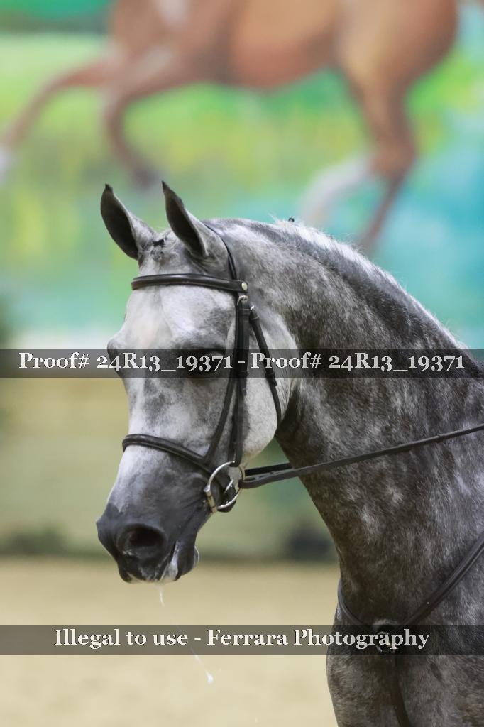 Proof 24R13_19371