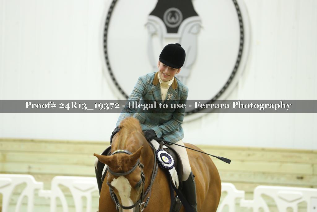 Proof 24R13_19372