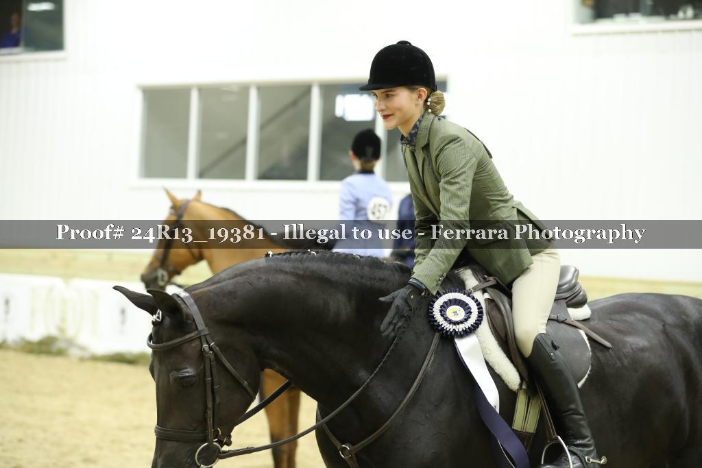Proof 24R13_19381