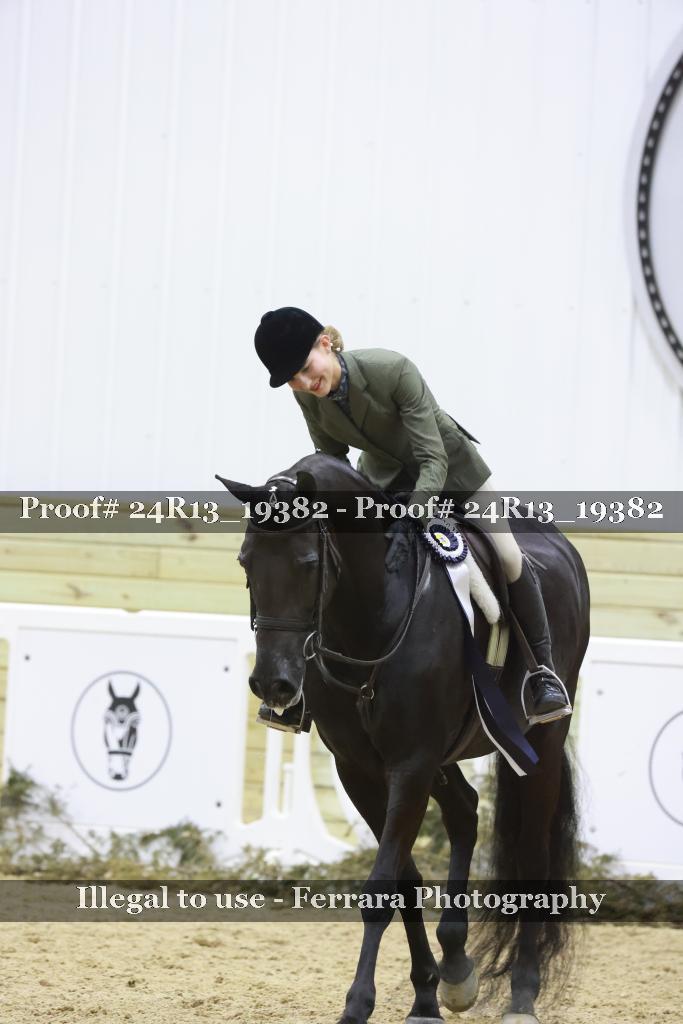 Proof 24R13_19382
