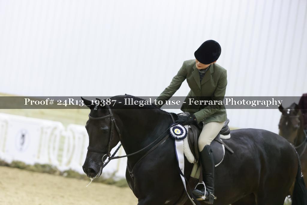 Proof 24R13_19387