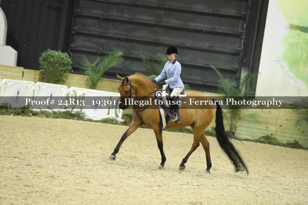 Proof 24R13_19391