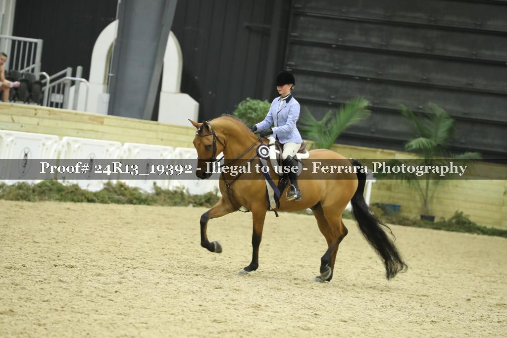 Proof 24R13_19392
