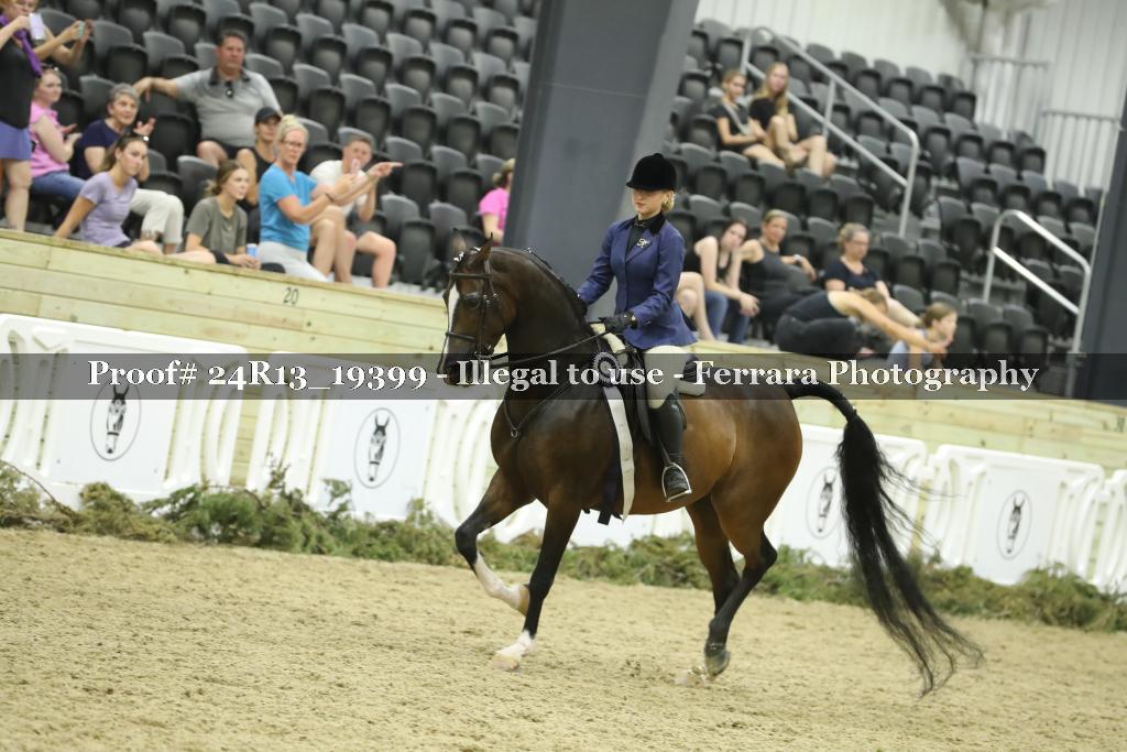 Proof 24R13_19399