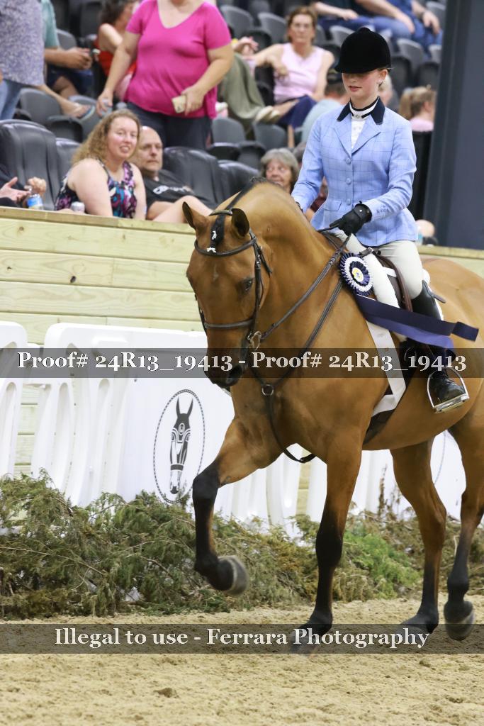 Proof 24R13_19413