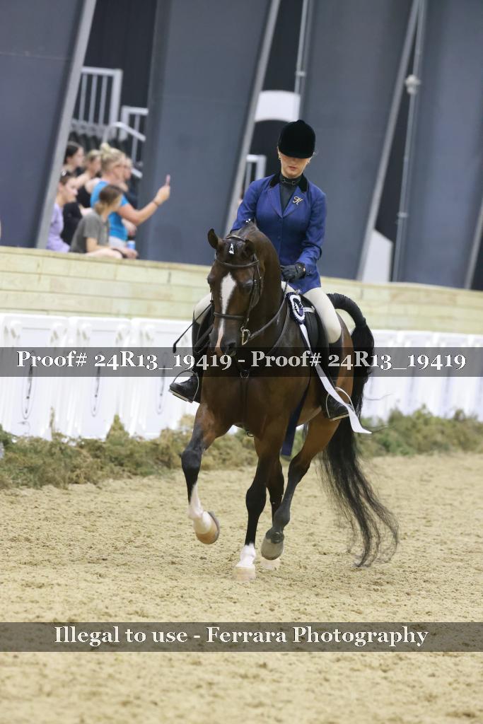 Proof 24R13_19419