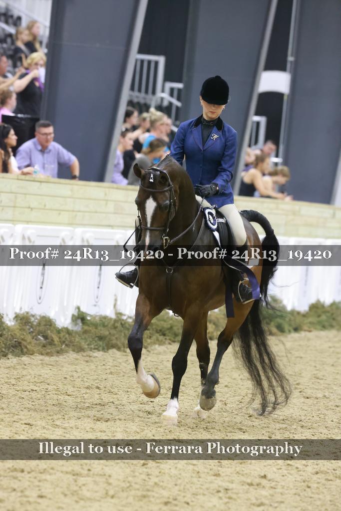 Proof 24R13_19420