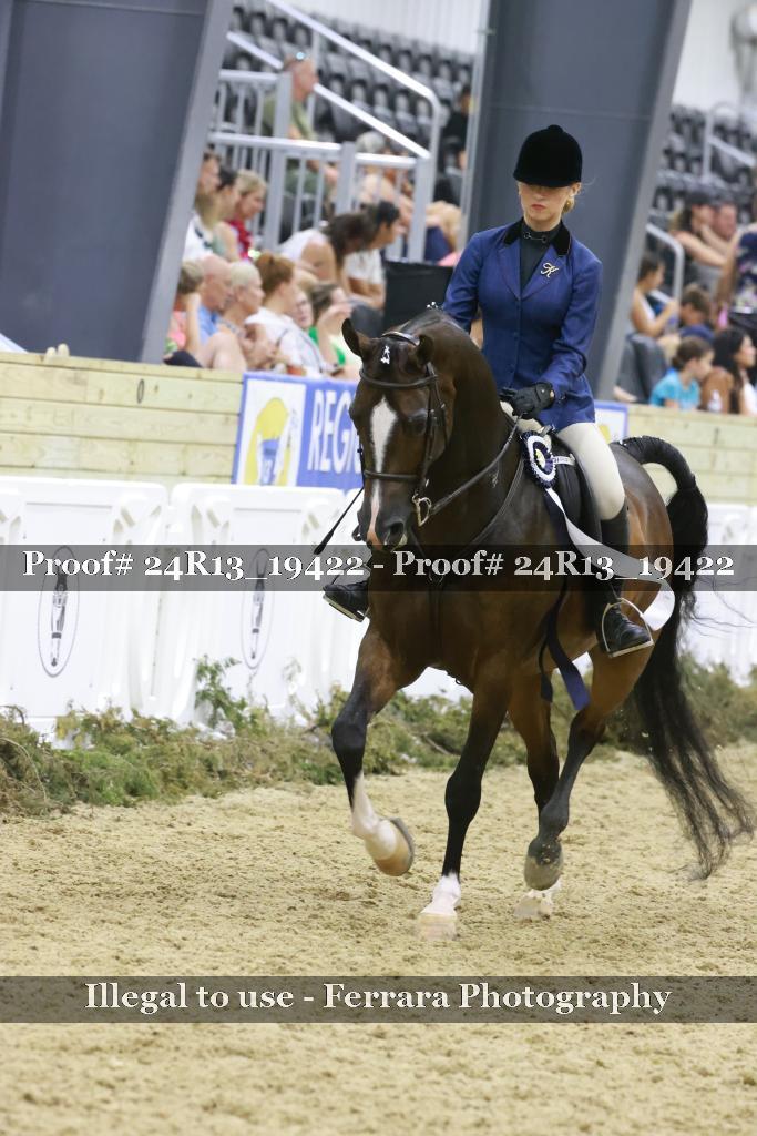 Proof 24R13_19422