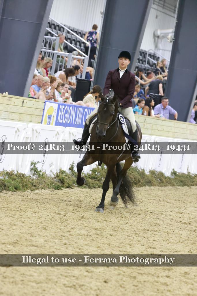 Proof 24R13_19431