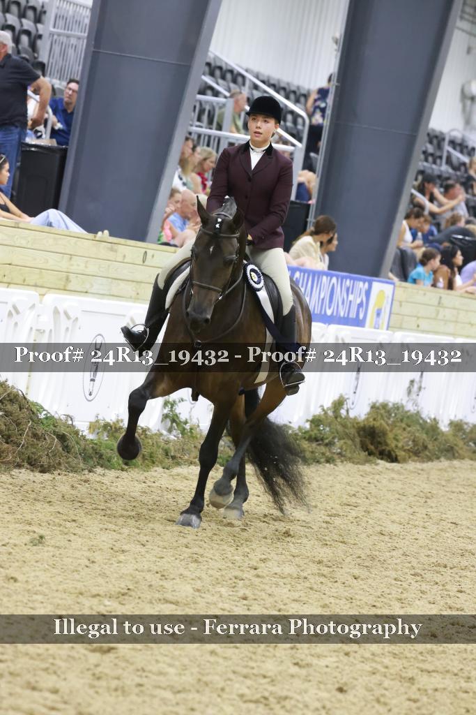 Proof 24R13_19432