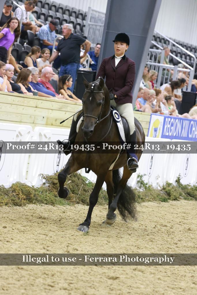 Proof 24R13_19435