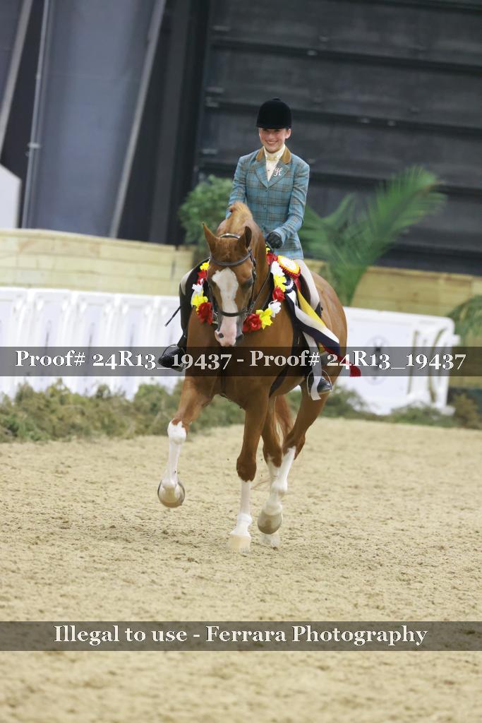 Proof 24R13_19437