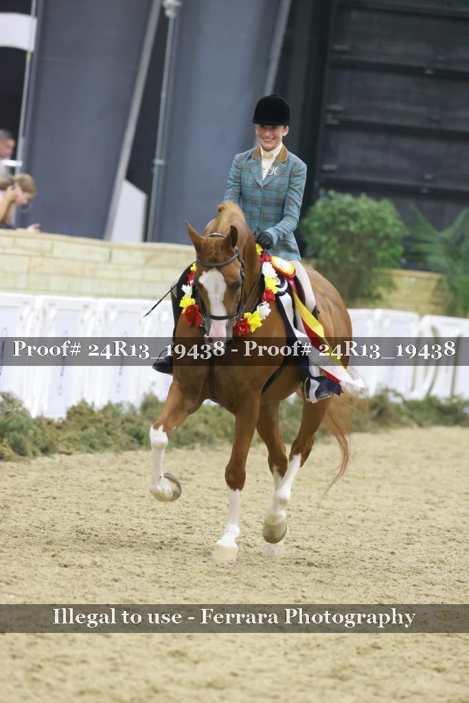 Proof 24R13_19438