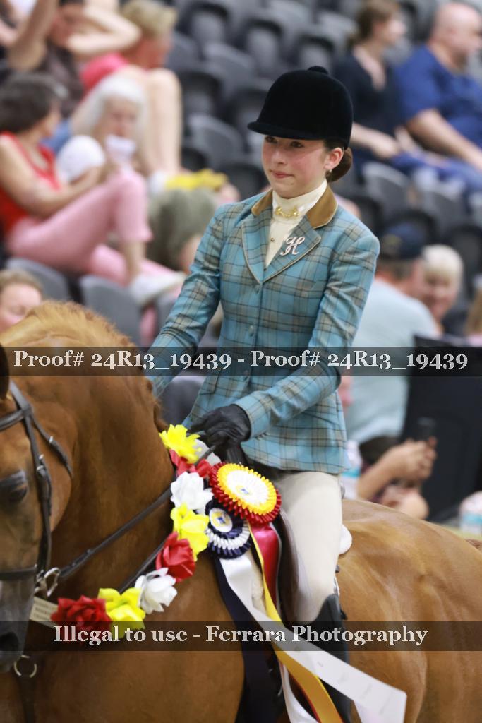 Proof 24R13_19439