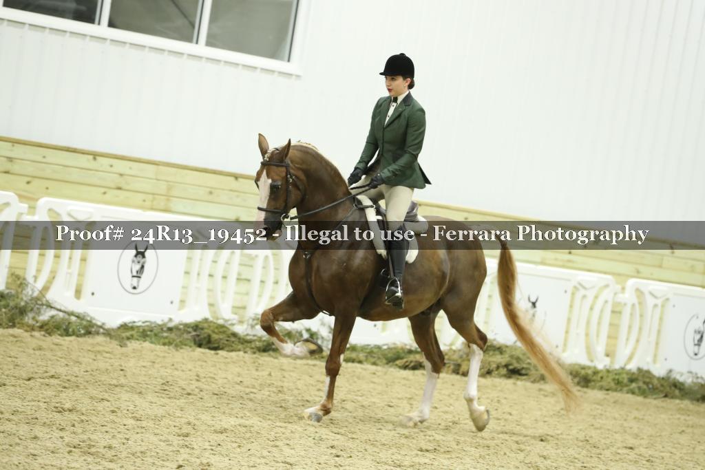 Proof 24R13_19452