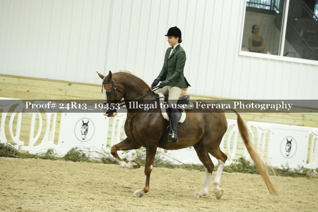 Proof 24R13_19453