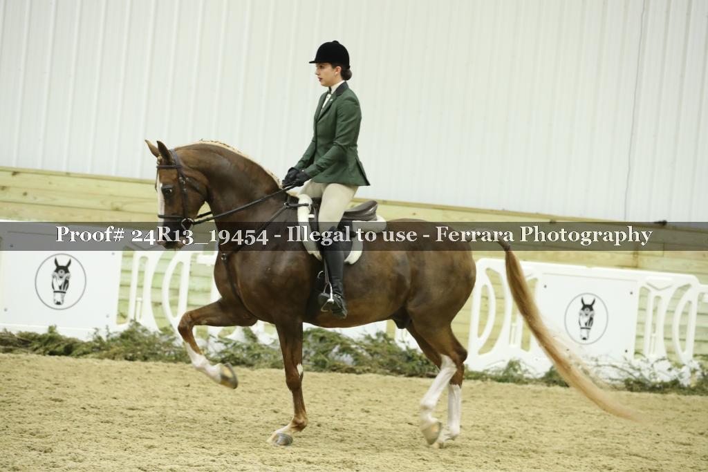 Proof 24R13_19454