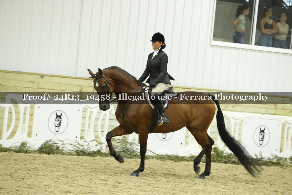 Proof 24R13_19458