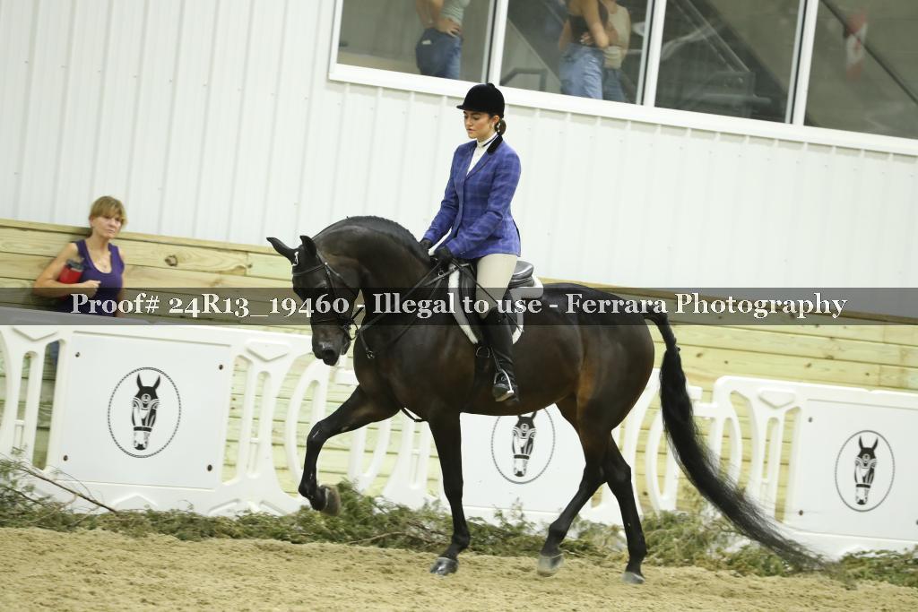 Proof 24R13_19460