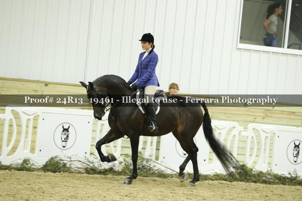 Proof 24R13_19461