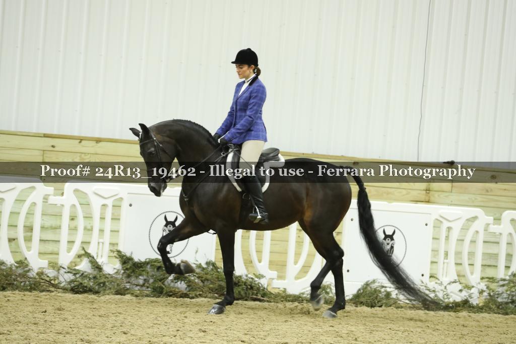 Proof 24R13_19462