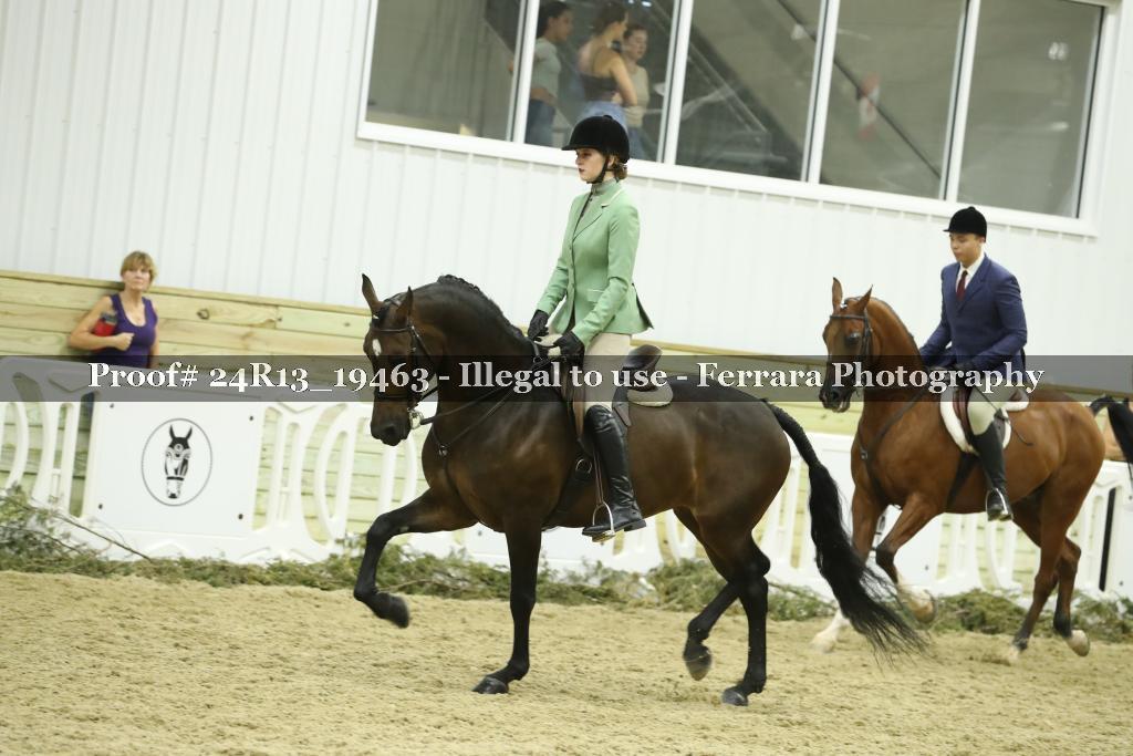 Proof 24R13_19463
