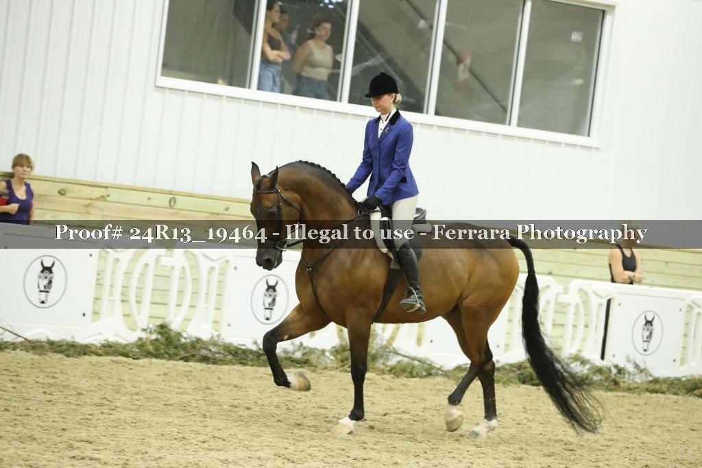 Proof 24R13_19464