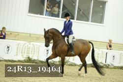 24R13_19464 proof
