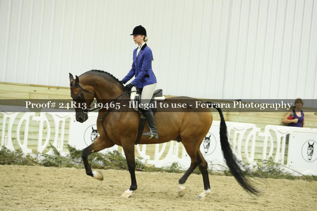 Proof 24R13_19465