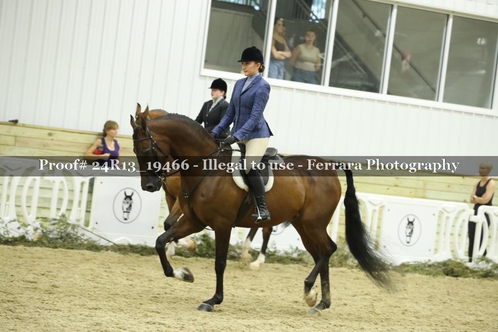 Proof 24R13_19466