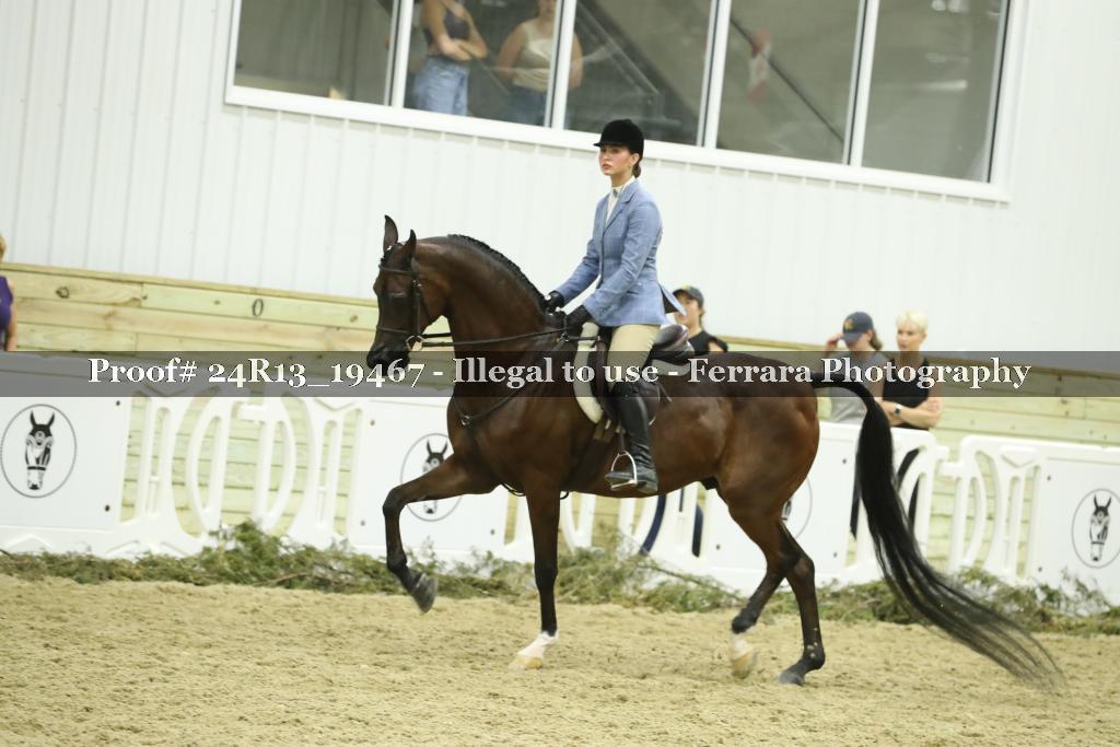 Proof 24R13_19467