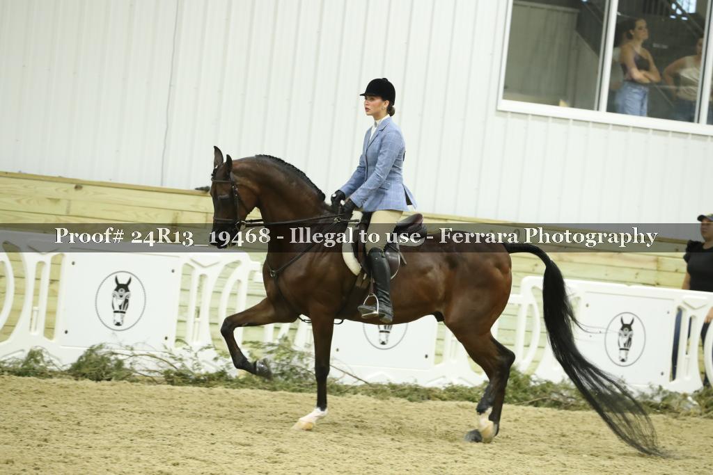 Proof 24R13_19468