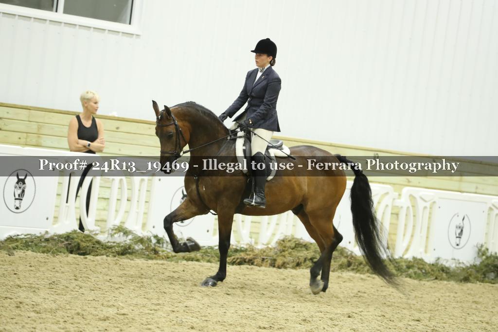 Proof 24R13_19469