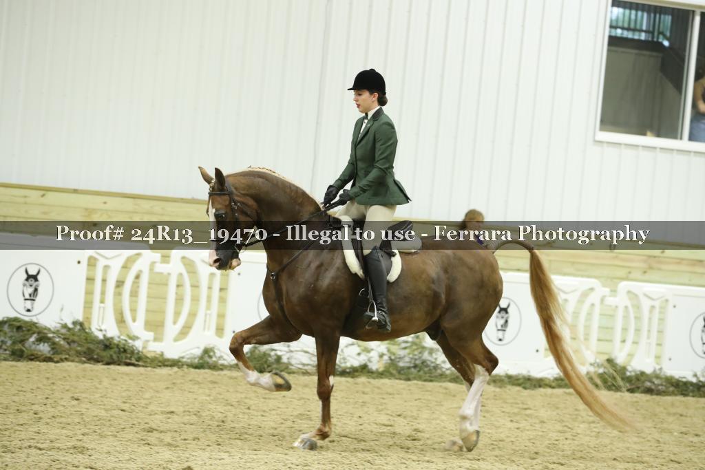 Proof 24R13_19470