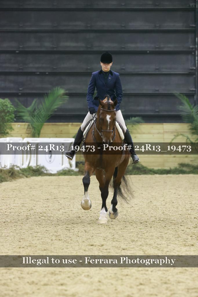 Proof 24R13_19473