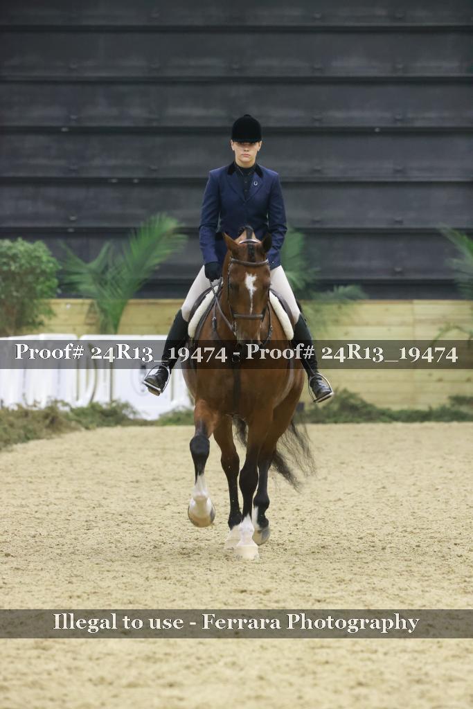 Proof 24R13_19474