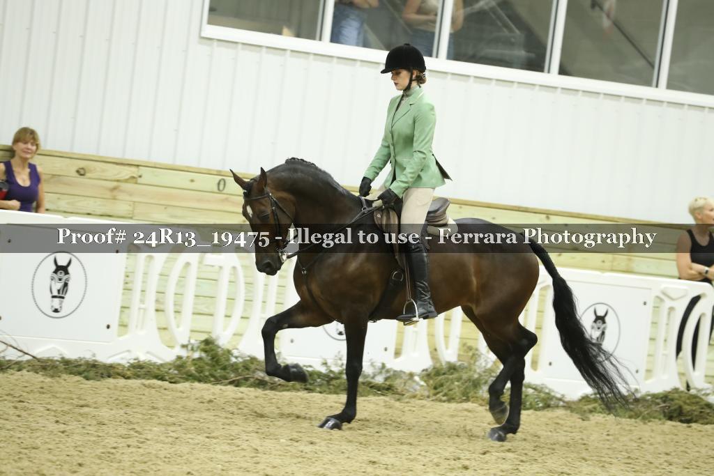 Proof 24R13_19475