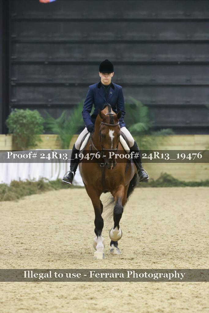 Proof 24R13_19476