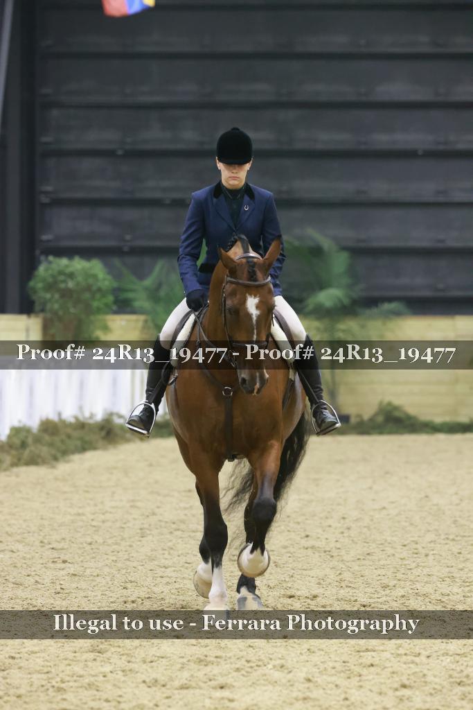 Proof 24R13_19477