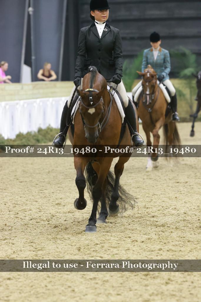 Proof 24R13_19480